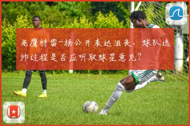 老鹰特雷-杨公开表达沮丧,球队选帅过程是否应听取球星意见?